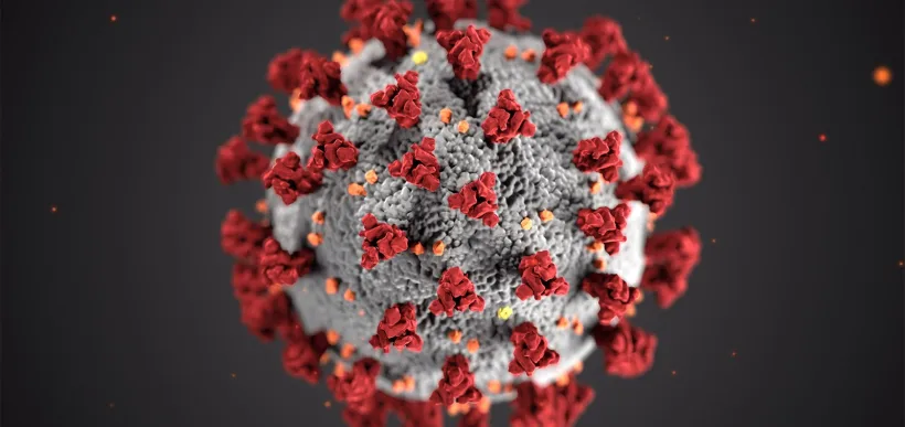 Mai avem până scăpăm şi de pandemie!