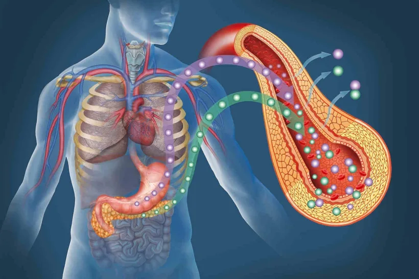 Un pas înainte în lupta cu diabetul de tip 1