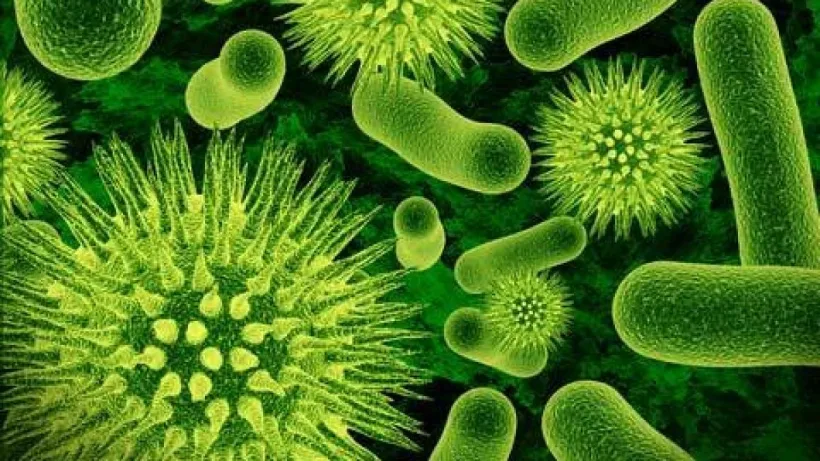 Tratament cu bacteriofagi
