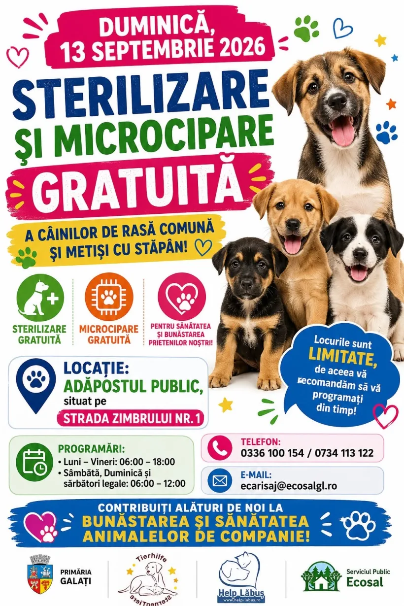 Programări pentru sterilizarea și microciparea gratuită a câinilor din Galați