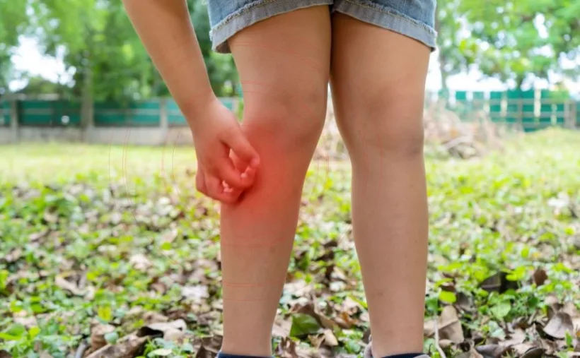 Încă două cazuri de infecție cu West Nile, confirmate în Galați. Alte trei, la Brăila