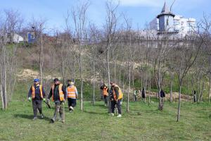 Ultimele plantări pentru amenajarea pădurilor urbane din Galați