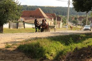 Locuitorii din mediul rural, mai predispuși să dezvolte cancer de piele   