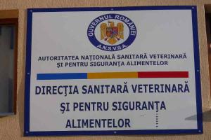 De luni, proteste ale sindicaliștilor din direcțiile sanitar-veterinare