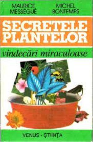 Durerile de cap tratate cu plante ”miraculoase” și cu alimente ”inteligente” (II)